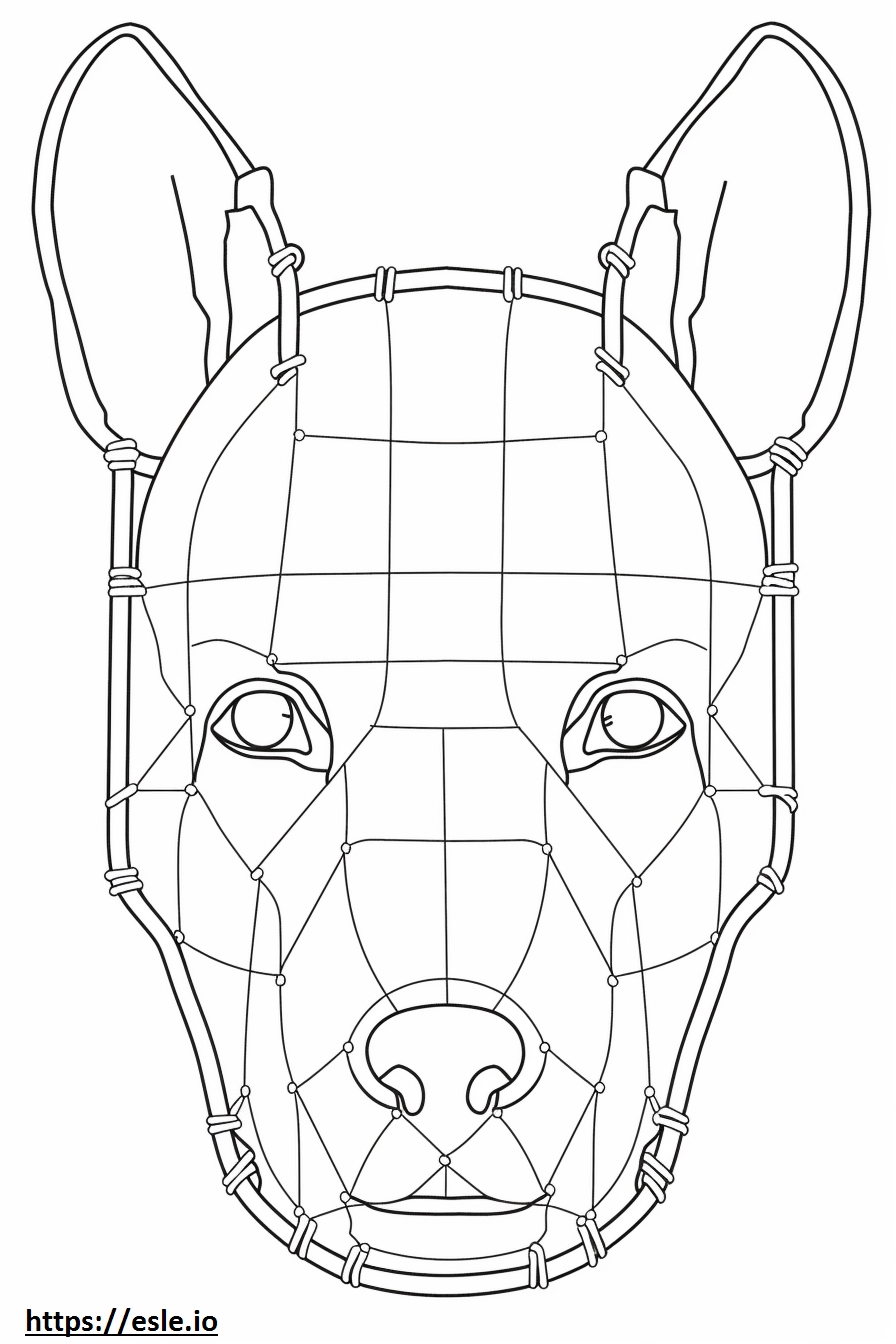 Boston Terrier Face Coloring Page