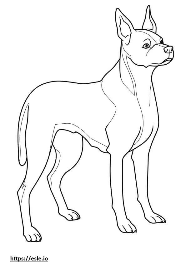 Coloriage Caricature de Boston Terrier à imprimer