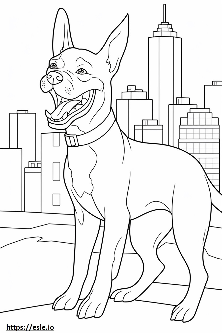 Boston Terrier feliz para colorir