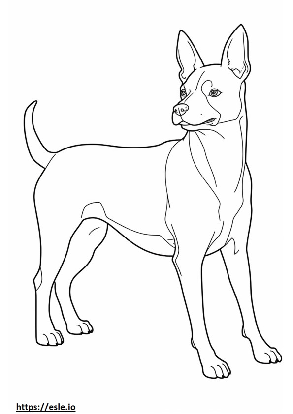 Boston Terrier happy coloring page