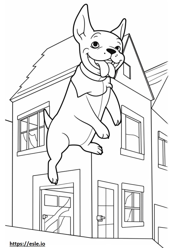 Boston Terrier happy coloring page