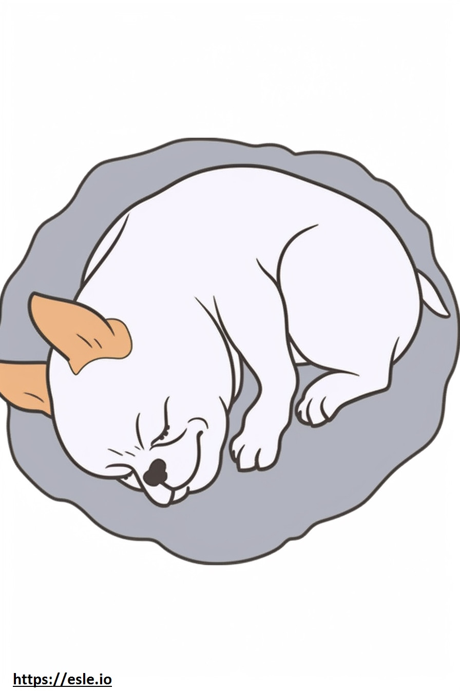 Boston Terrier dormindo para colorir