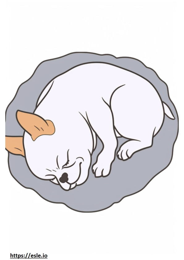 Boston Terrier schläft ausmalbild