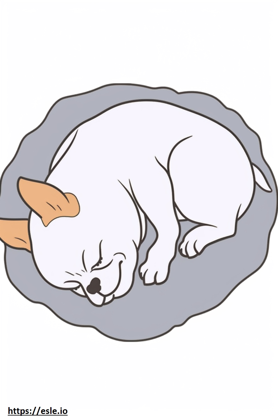 Boston Terrier Sleeping Coloring Page - Free Printable