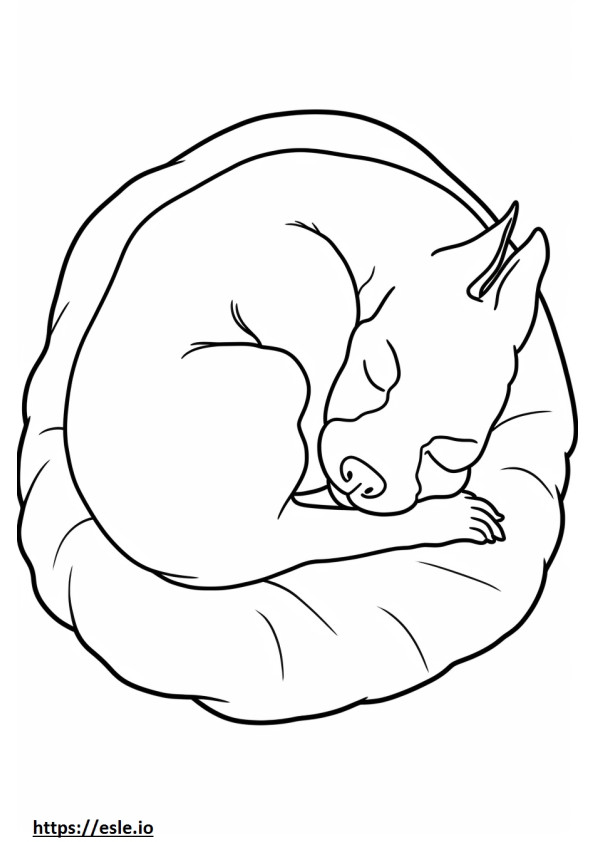 Boston Terrier Sleeping coloring page