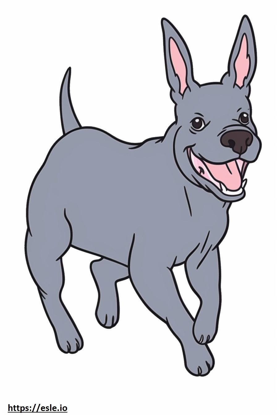 Boston Terrier Playing Coloring Page