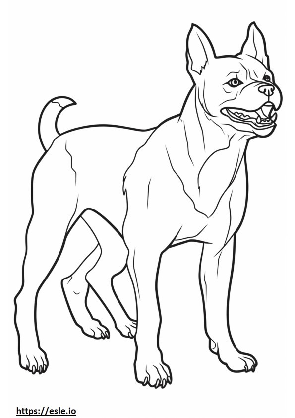 Boston Terrier Playing coloring page