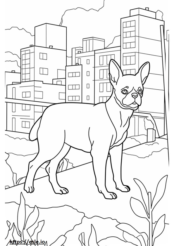 Boston Terrier Friendly coloring page