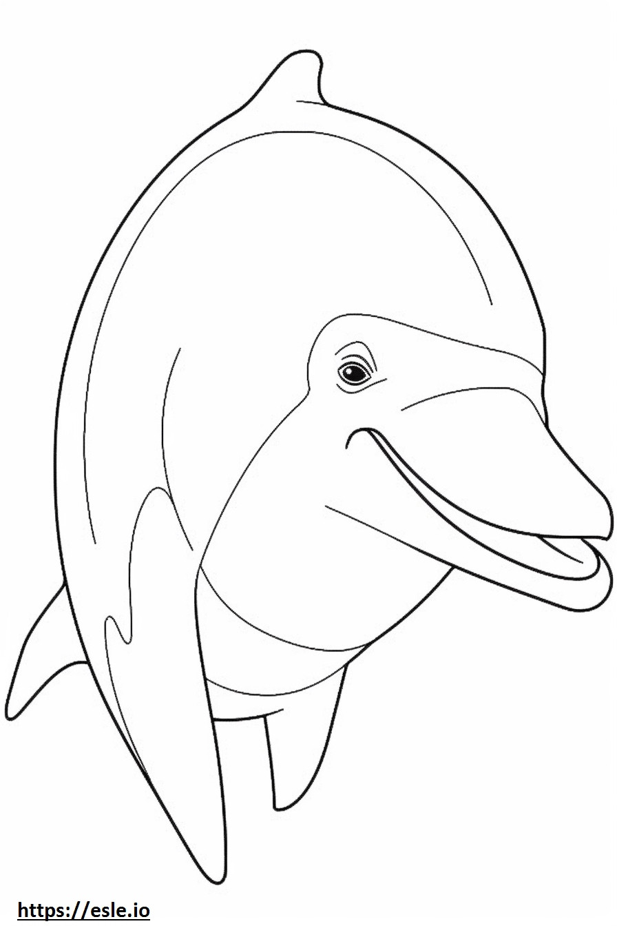 Pullonokkainen delfiinin kasvot värityskuva