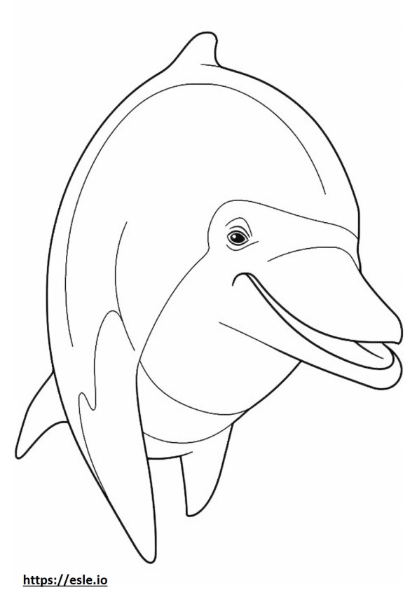 Cara de delfín mular para colorear e imprimir