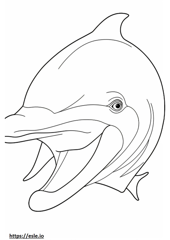 Cara de golfinho-nariz-de-garrafa para colorir