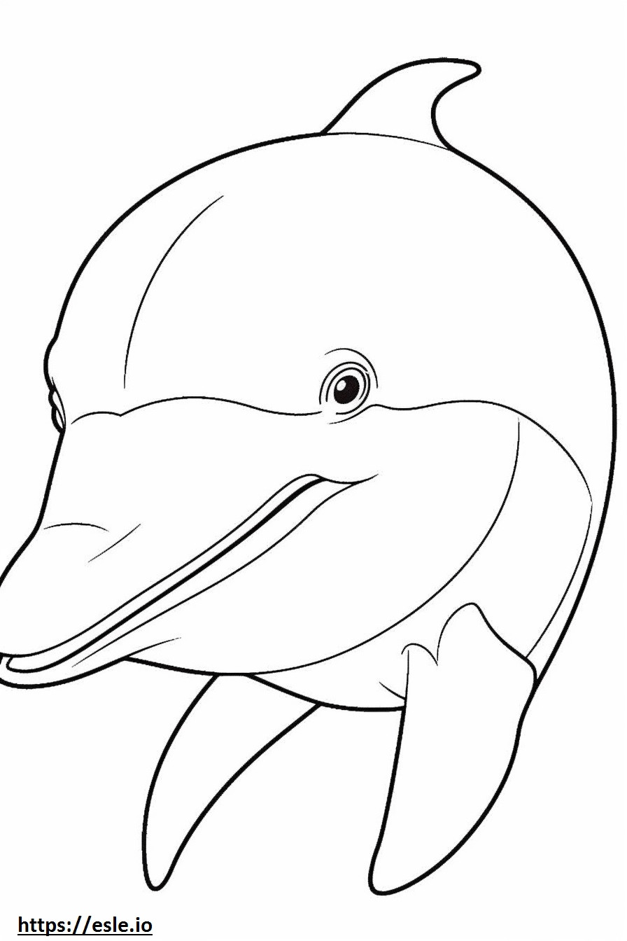 Pullonokkainen delfiinin kasvot värityskuva