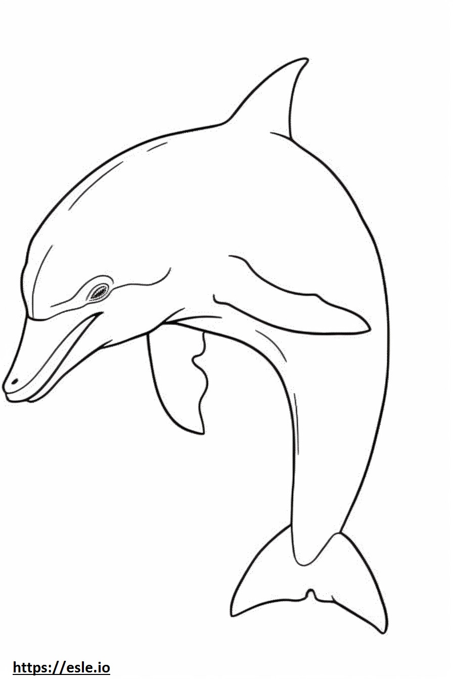Tuimelaar dolfijn volledig lichaam kleurplaat kleurplaat