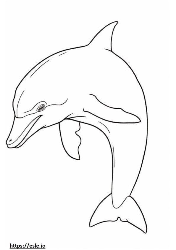 Tuimelaar dolfijn volledig lichaam kleurplaat