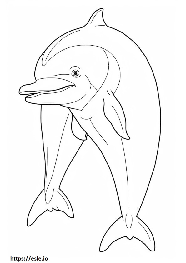 Golfinho-nariz-de-garrafa de corpo inteiro para colorir