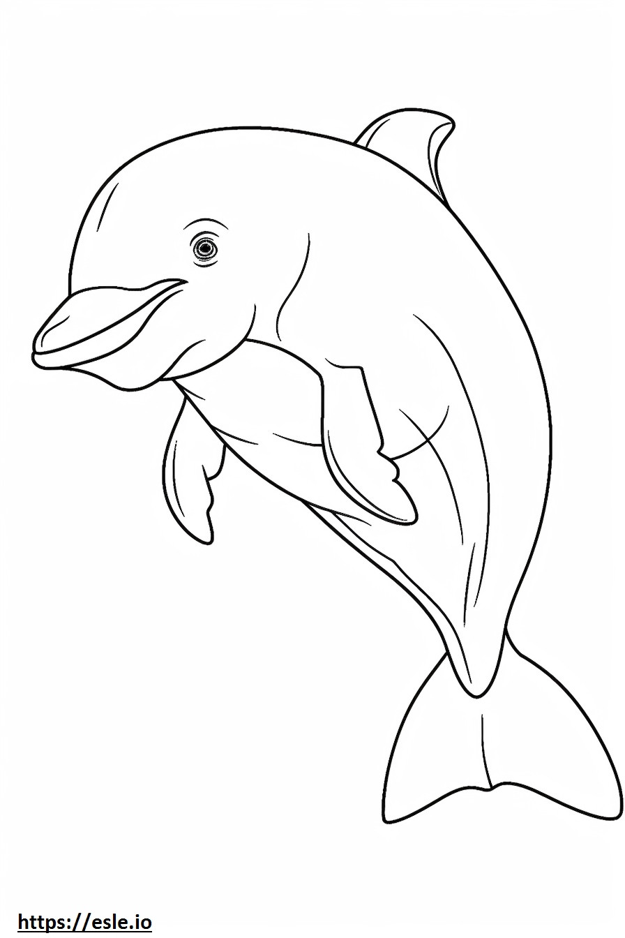 Coloriage Bébé dauphin à gros nez à imprimer