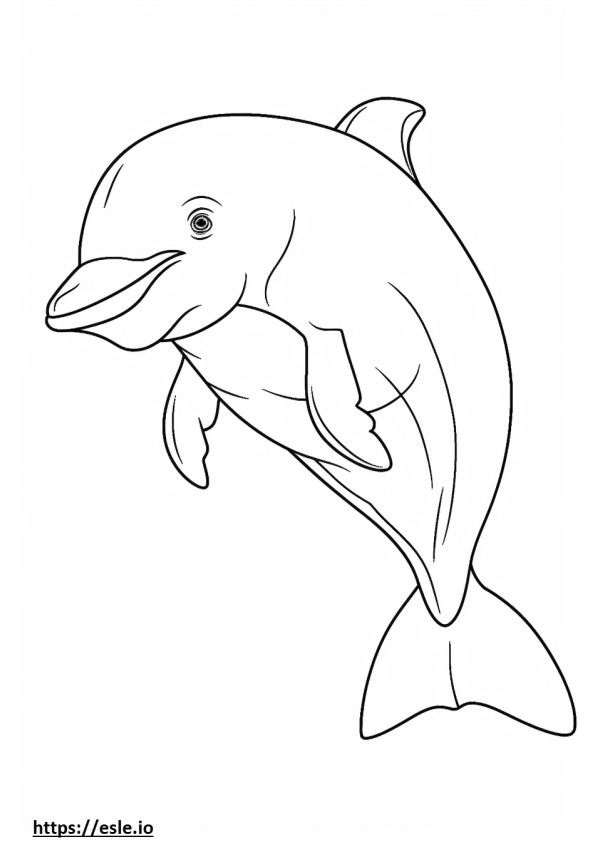 Bebê golfinho-nariz-de-garrafa para colorir