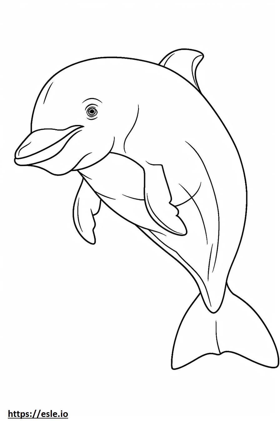 Bottlenose Dolphin Baby 2 Coloring Page