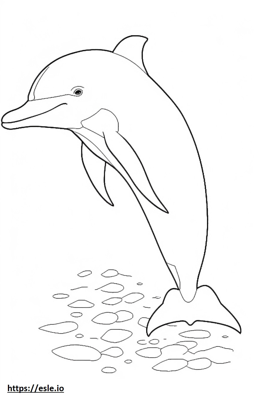 Bebê golfinho-nariz-de-garrafa para colorir