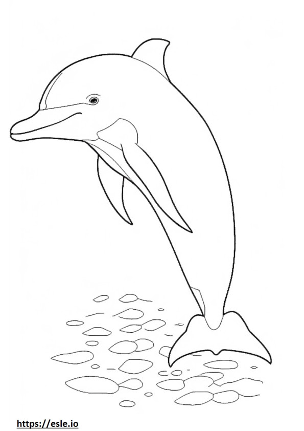 Pullonokkainen delfiinivauva värityskuva