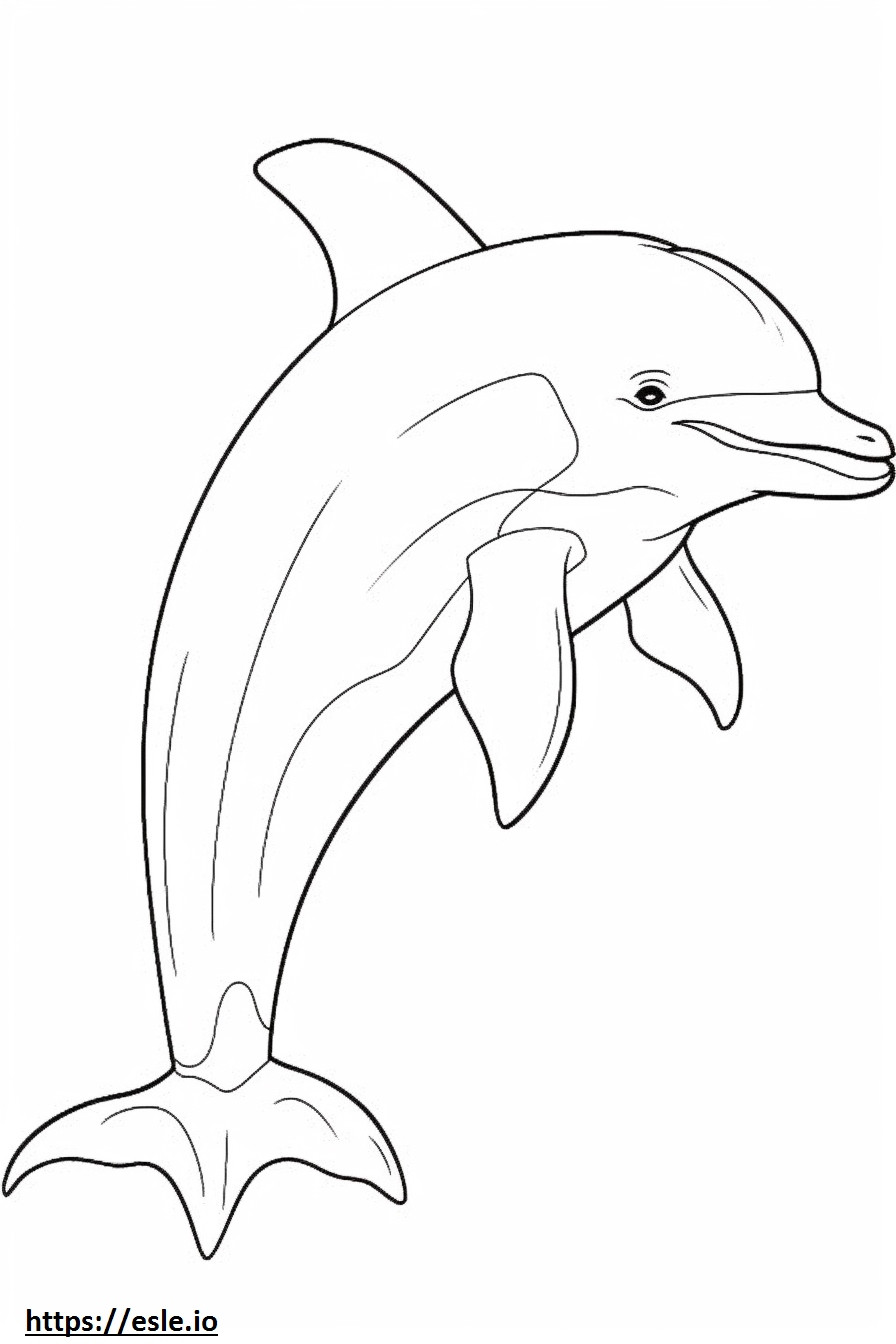 バンドウイルカの漫画 ぬりえ - 塗り絵