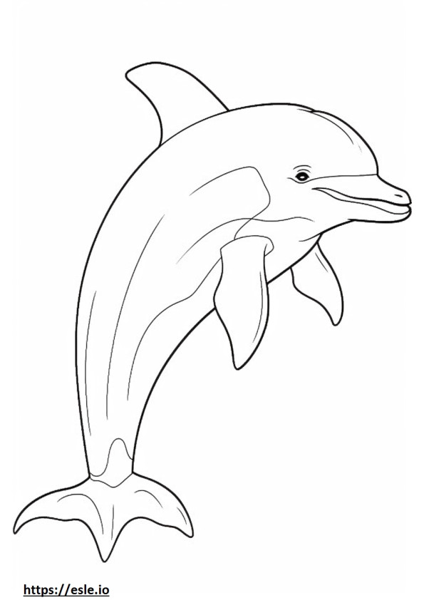 Cartone animato di delfini tursiopi da colorare