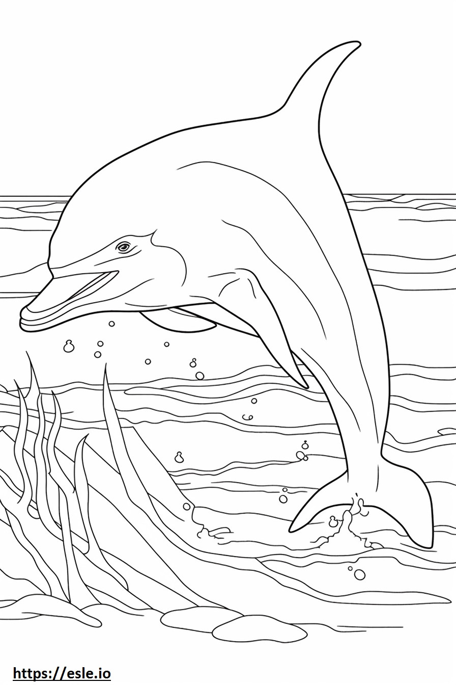 Bottlenose Dolphin cartoon coloring page