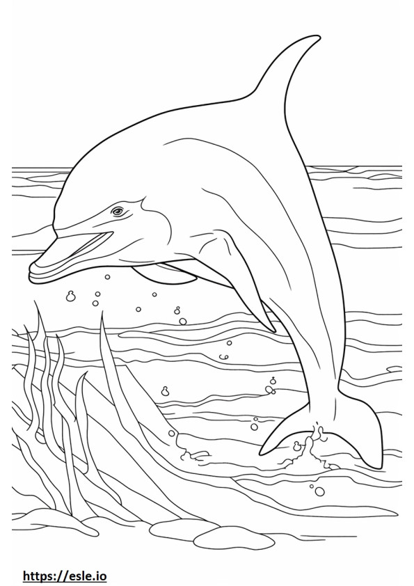 Bottlenose Dolphin cartoon coloring page