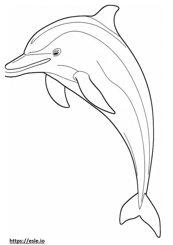 Desenho de golfinho-nariz-de-garrafa para colorir