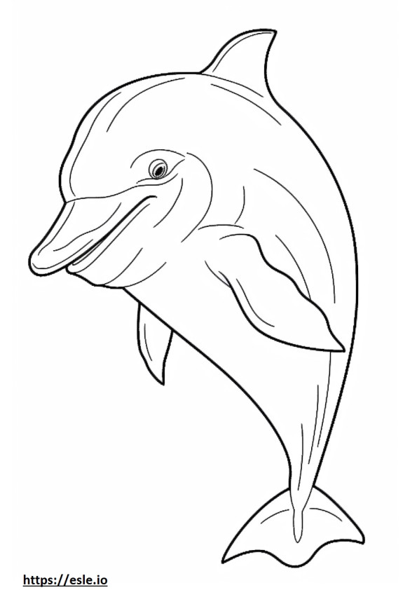 Coloriage Caricature de grand dauphin à imprimer