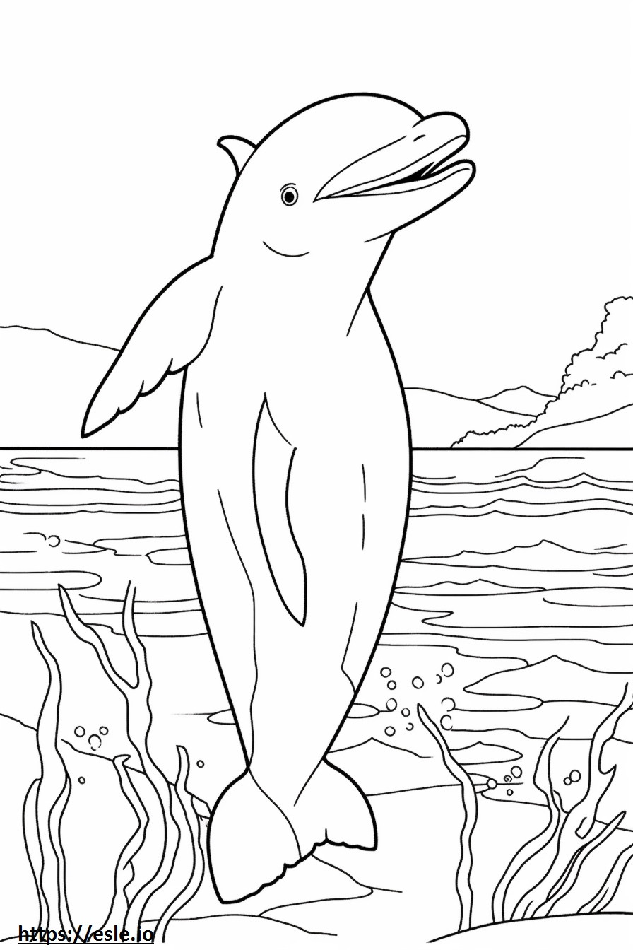 Delfín mular lindo para colorear e imprimir