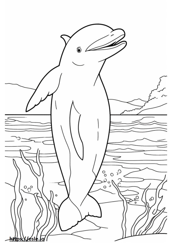 Lumba-lumba Hidung Botol yang lucu gambar mewarnai