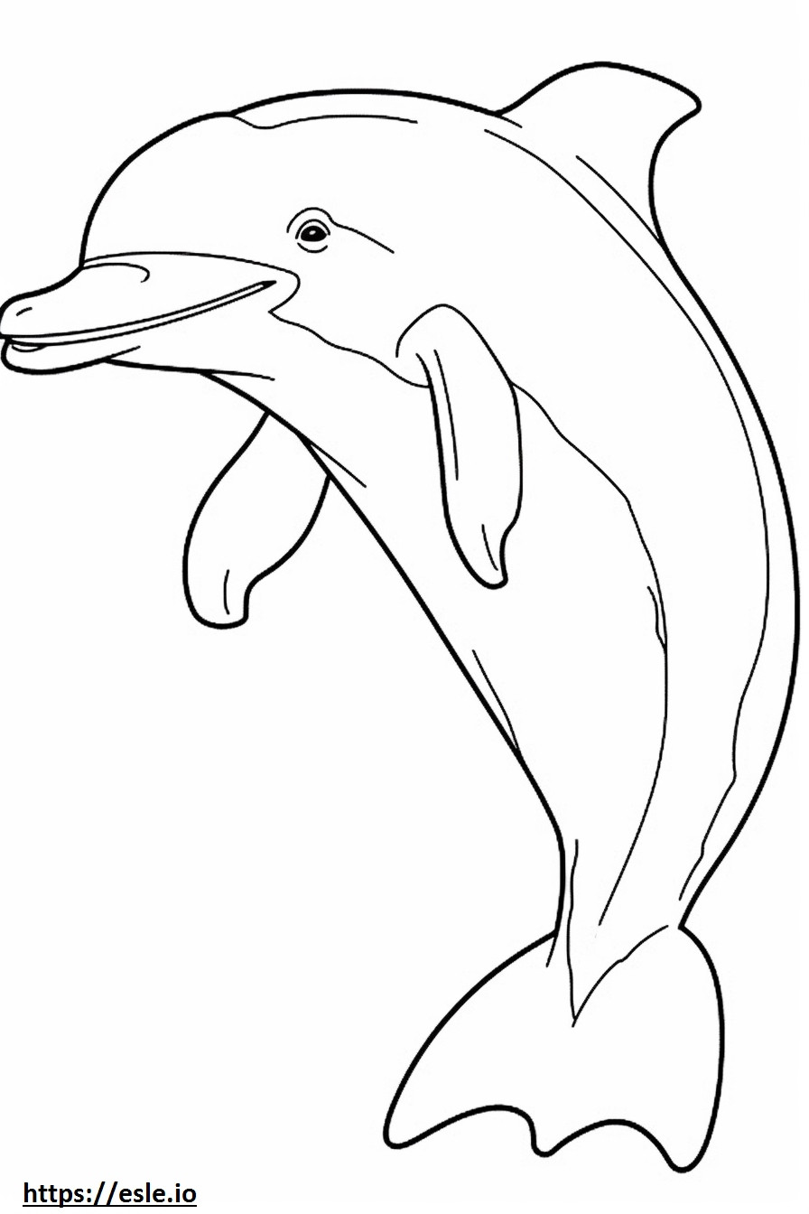 Delfin butlonose uroczy kolorowanka