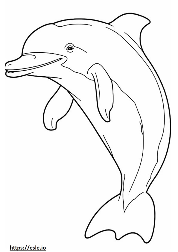 Delfino tursiope carino da colorare