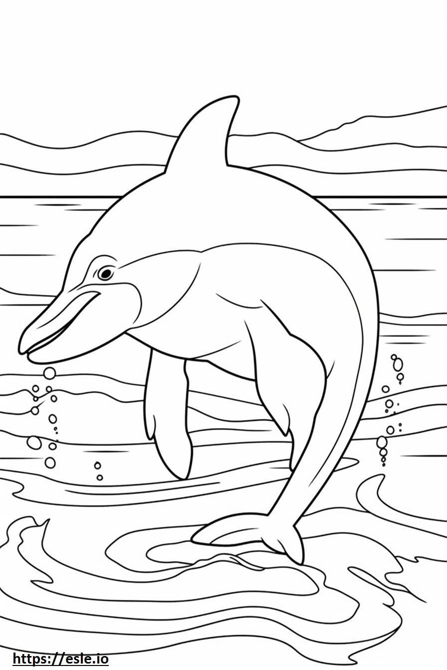 Pullonokkainen delfiini söpö värityskuva