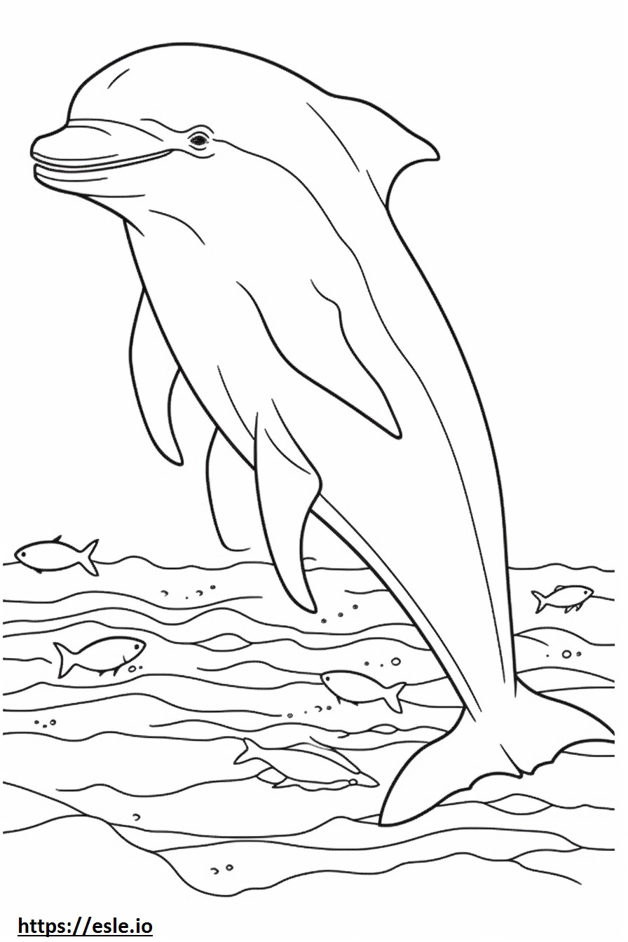 Pullonokkainen delfiini söpö värityskuva