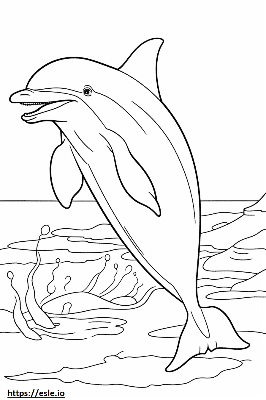 Pullonokka Dolphin onnellinen värityskuva