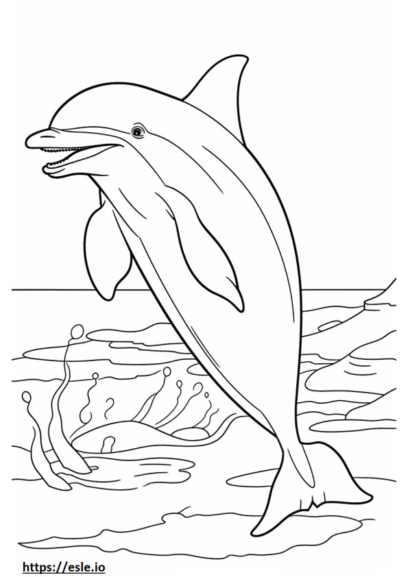 Delfín mular feliz para colorear e imprimir