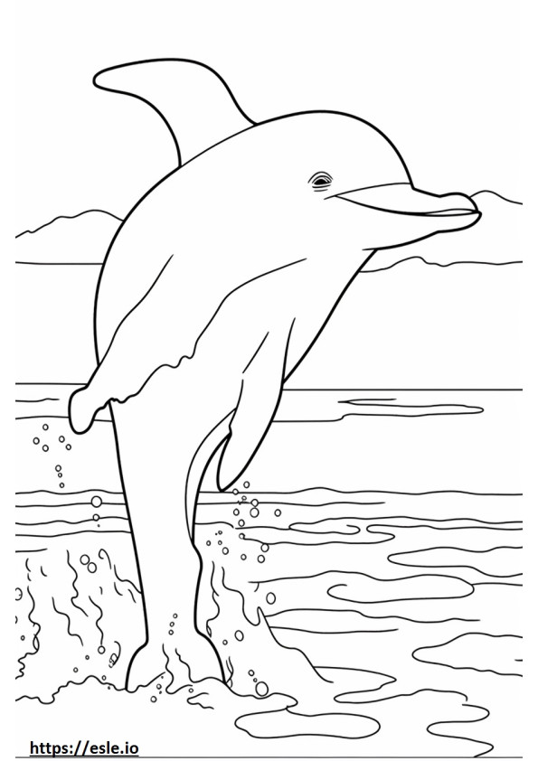 Bottlenose Dolphin happy coloring page