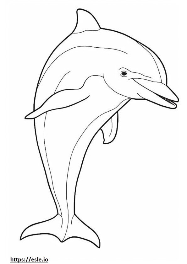 Delfino tursiope felice da colorare