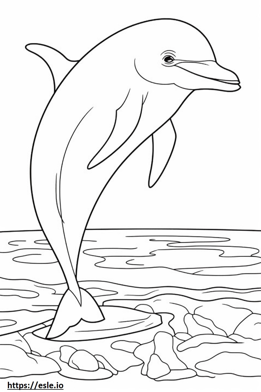 Delfin butlonose szczęśliwy kolorowanka