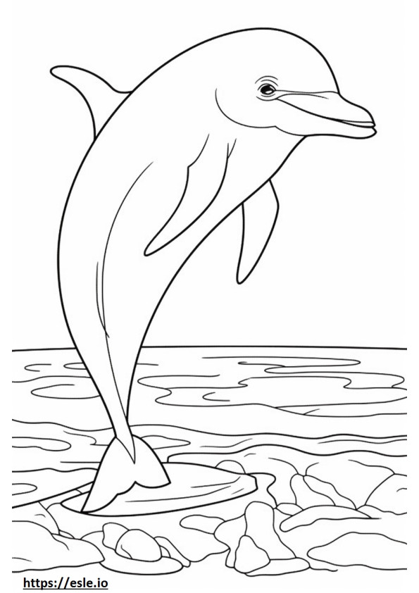 Bottlenose Dolphin happy coloring page