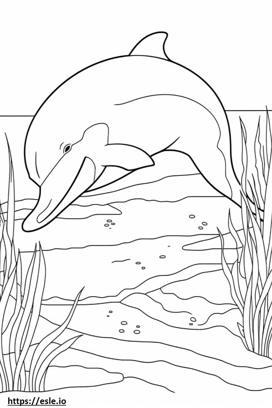Golfinho-nariz-de-garrafa dormindo para colorir