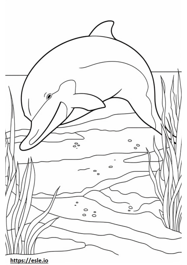 Coloriage Grand dauphin dormant à imprimer