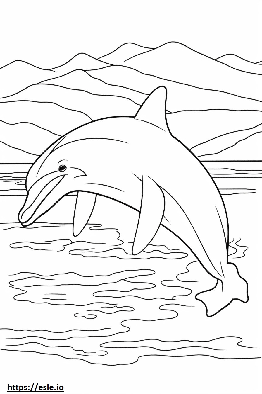 Delfin butlonose śpi kolorowanka