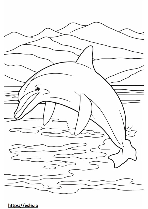 Alvó palackorrú delfin szinező