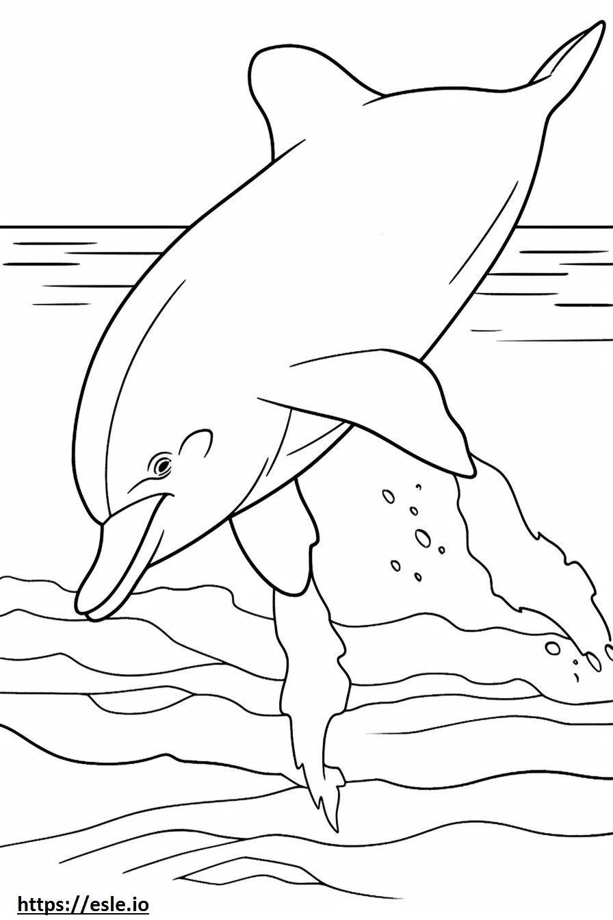 Golfinho-nariz-de-garrafa brincando para colorir