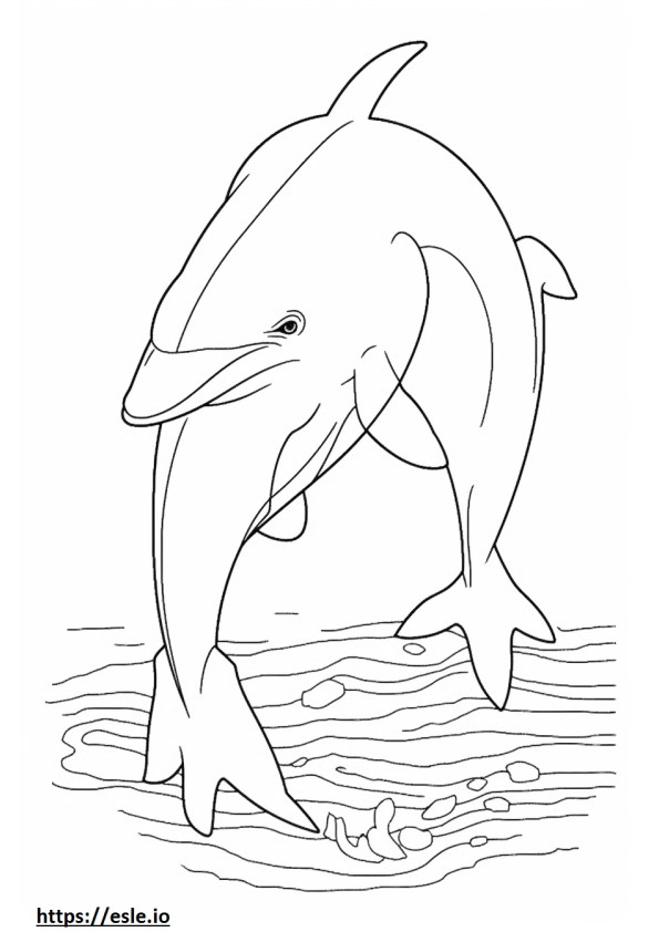 Bottlenose Dolphin Playing coloring page