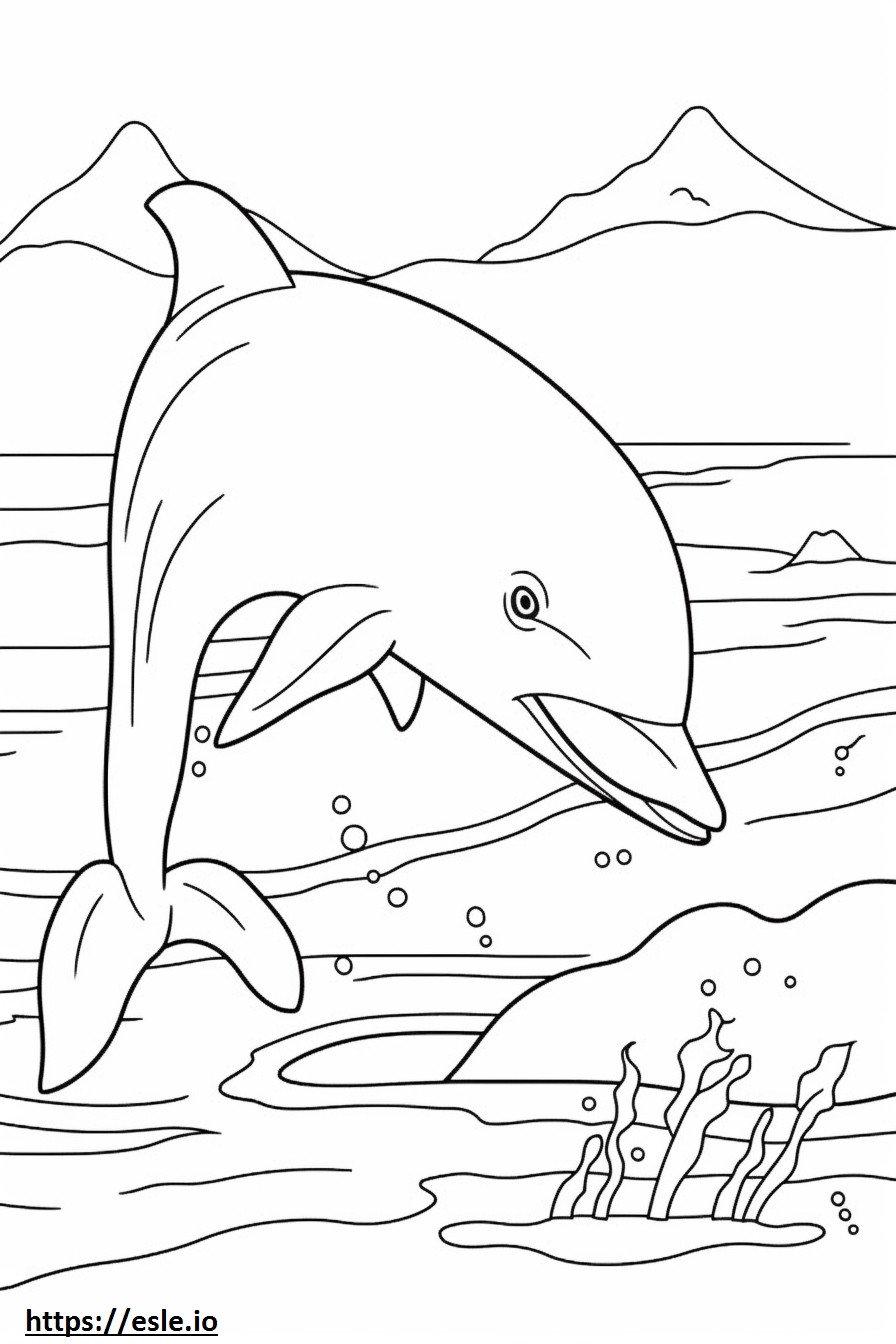 バンドウイルカの遊び ぬりえ - 塗り絵