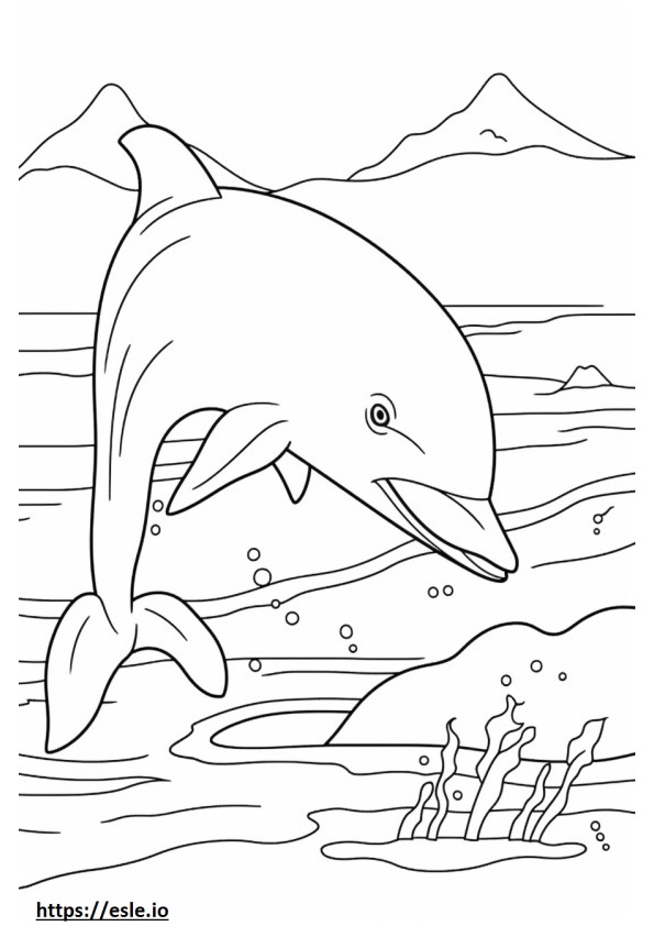 Delfín mular jugando para colorear e imprimir
